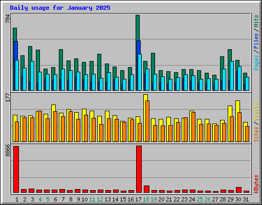 Daily usage for January 2025