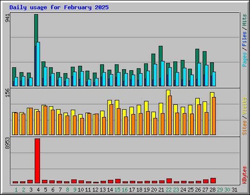 Daily usage for February 2025