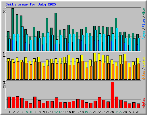 Daily usage for July 2025